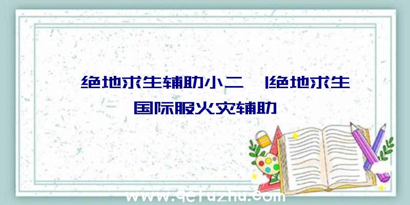 「绝地求生辅助小二」|绝地求生国际服火灾辅助